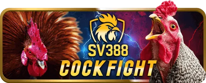 Chương trình hoàn trả cược thua 33win39 win